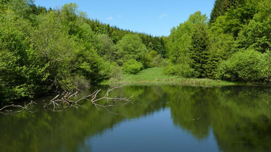 Landidyll Landhaus Liesetal ハレンベルク エクステリア 写真