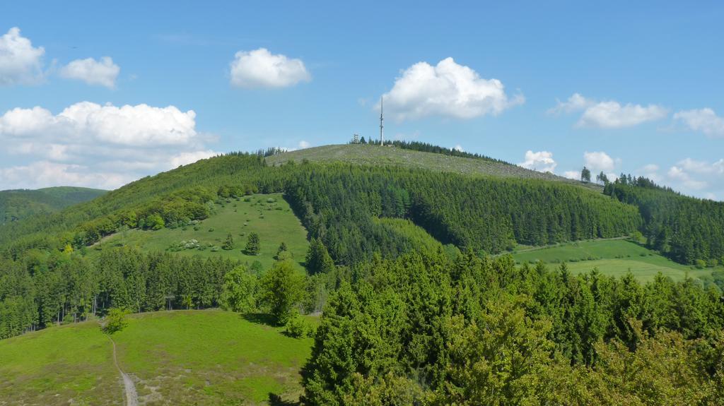 Landidyll Landhaus Liesetal ハレンベルク エクステリア 写真