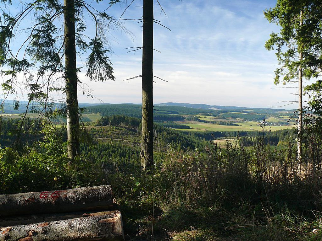 Landidyll Landhaus Liesetal ハレンベルク エクステリア 写真