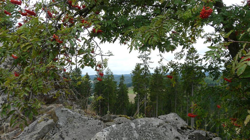 Landidyll Landhaus Liesetal ハレンベルク エクステリア 写真