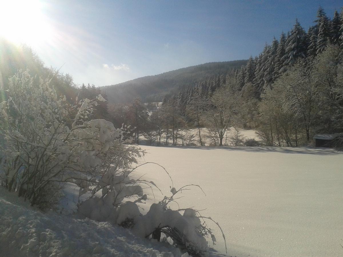 Landidyll Landhaus Liesetal ハレンベルク エクステリア 写真